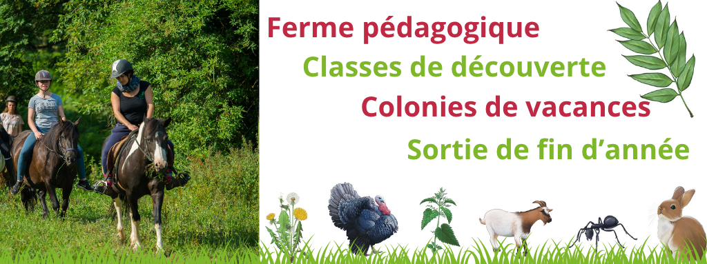 colonies de vacances, ferme pédagogique, centre de vacances, classe de découverte