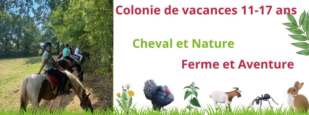 cheval; colo; colonies de vacances; ferme; éqquitation