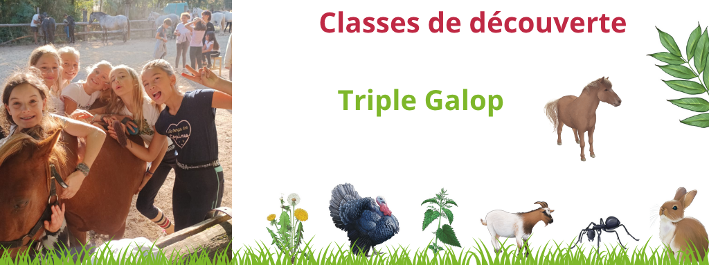 équitation; classe de découverte