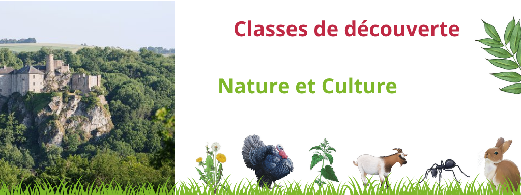 séjour classe découverte patrimoine; culture; fer à cheval; ferme pédagogique